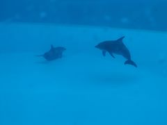 -横琴湾水世界