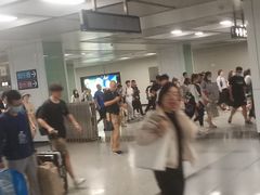 -宋家庄(地铁站)