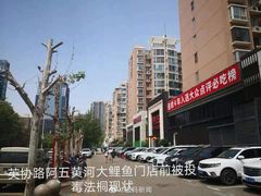 -阿五黄河大鲤鱼(英协路店)