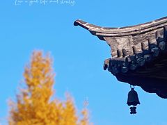 -盘门景区