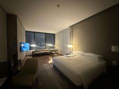 -长沙尼依格罗酒店
