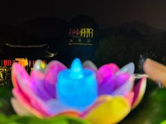 -印象普陀