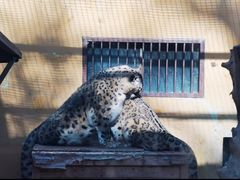 -青藏高原野生动物园