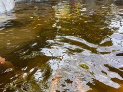 -台山颐和温泉城