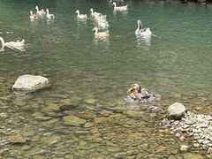 -楠溪江风景名胜区