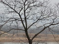 -盘龙城国家考古遗址公园