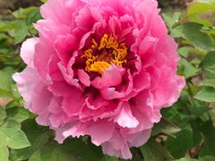 -合肥三国新城遗址公园