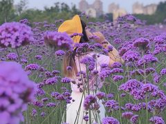 -杭州城北体育公园