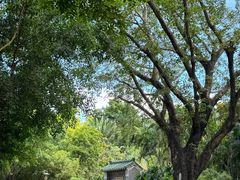 -深圳国际园林花卉博览园