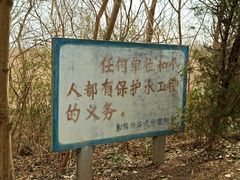 -盐城丹顶鹤湿地生态旅游区