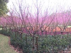 -上海市龙华烈士陵园