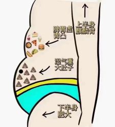 点击看大图 -香薇妮丝女子减肥院
