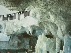 -珠海长隆海洋王国
