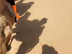 -白老大羊杂碎稍麦