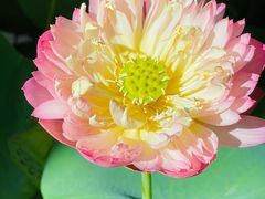 -上海植物园-4号门售票处