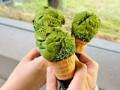 -玉苍山国家森林公园