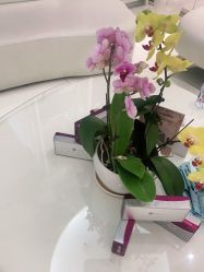 -agge蛋白医美