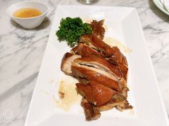 -青雅中餐厅(大连金石滩绿发希尔顿度假酒店)