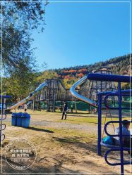 -浅山蜜塘奇妙乐园·亲子营地