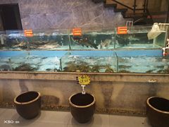水产区-饭怕鱼(阳光100店)