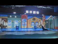 -重庆欢乐海底世界