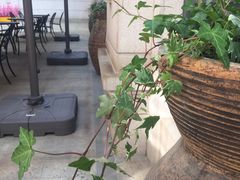 -碧桂园凤凰城酒店(南京店)