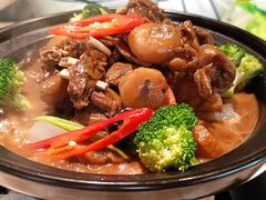 滋补羊排煲-珍味汤馆·潮汕家乡菜(保利文化广场店)