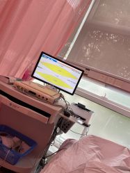 -复旦大学附属妇产科医院(杨浦院区)