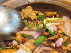 -胡须佬鸡煲四季火锅店(石厦西村直营店)