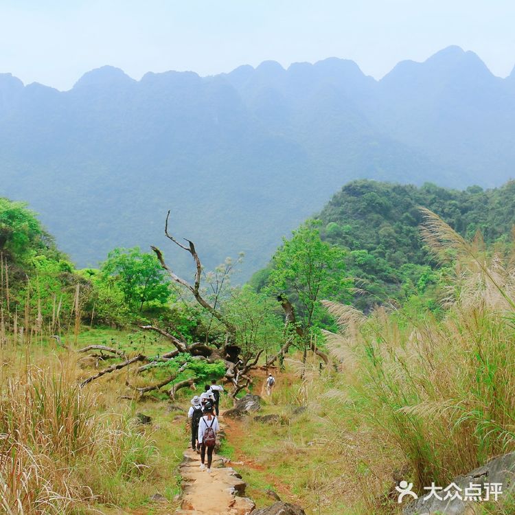 广东秦汉古道||适合户外小白的徒步路线