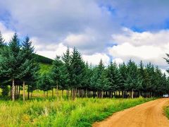 -塞罕坝国家级自然保护区