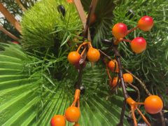 -同庆楼(奥体中心店)