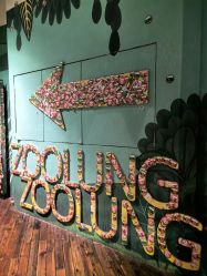 -Zoolung Zoolung动物主题公园(海信广场店)