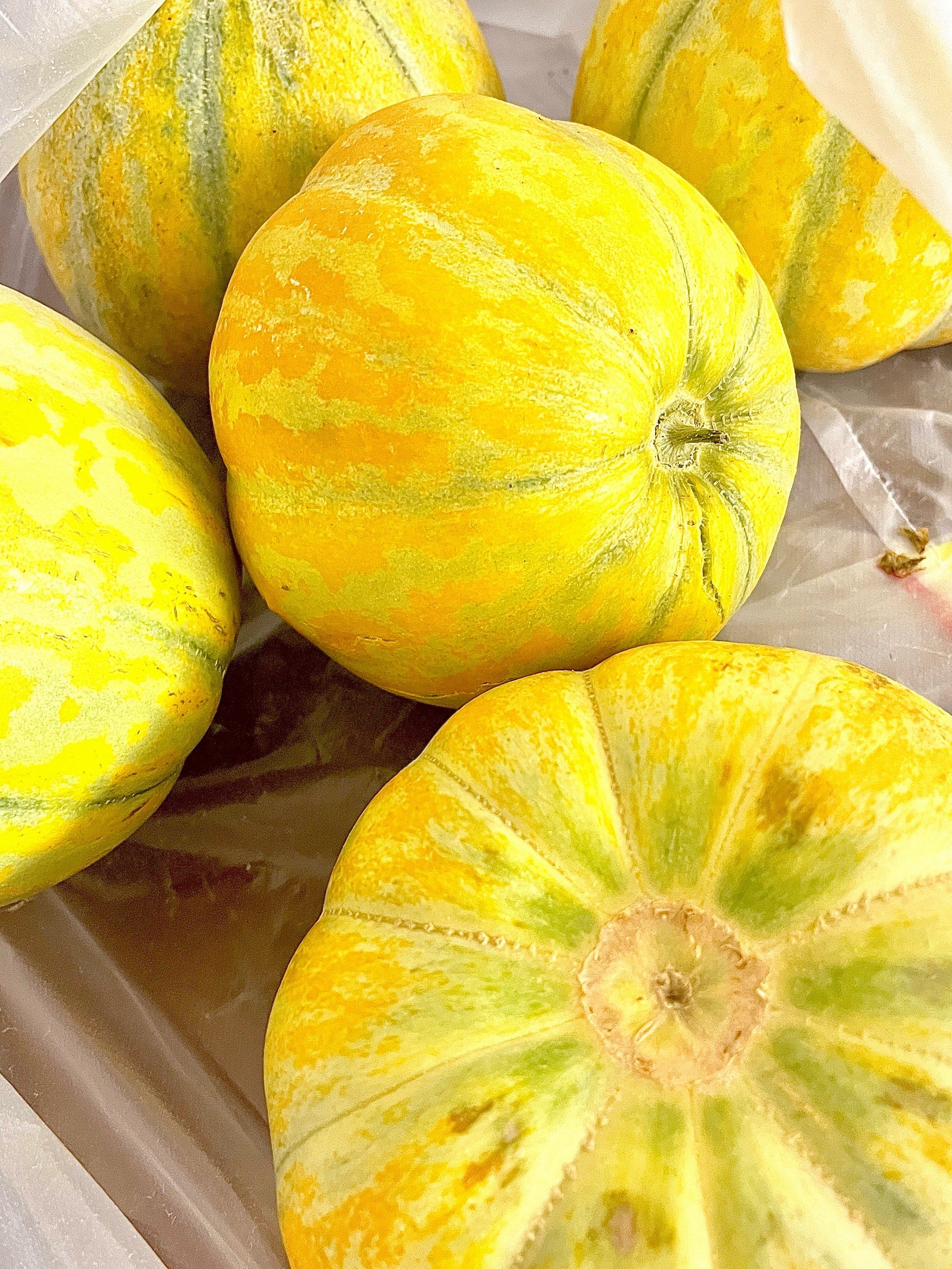 我小时候噩梦瓜,多少次被噎着哈哈,我们那里叫面瓜,没啥味而且巨噎,不