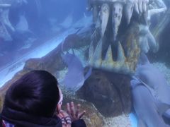 -哈尔滨波塞冬海底世界