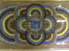 -上海昆虫博物馆