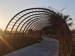 -良渚古城遗址公园