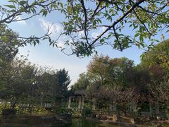 -八大山人梅湖景区