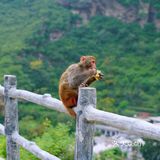 限制出京怎么办来十渡撸🐒啊