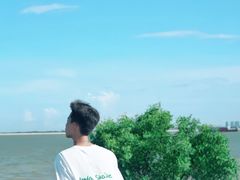 -南沙蒲洲花园