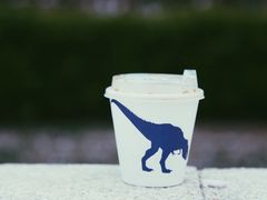 瑰夏美式-大小咖啡 BigSmallCoffee(麦子店)