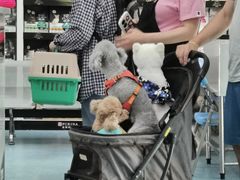 -北京赛佳动物医院