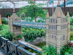 -南宫五洲植物乐园