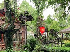 -青城甲(青城山店)