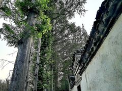 -召稼楼古镇