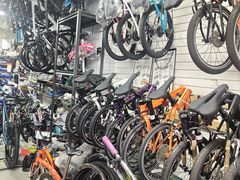 -道路口单车爱瓦士dahon大行