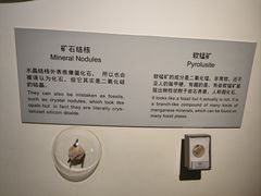 -正佳自然科学博物馆