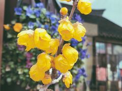 -回龙窝历史文化街区