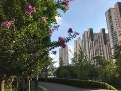 -苏州河梦清园环保主题公园