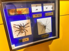 -上海昆虫博物馆